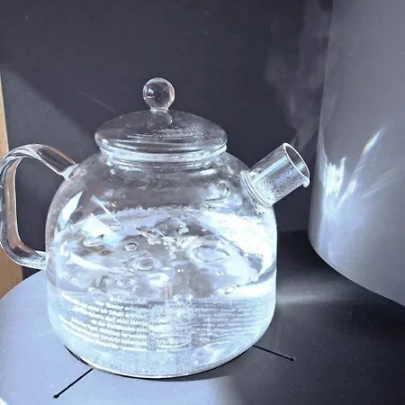 In Nussdorf-debant Mit Garten *